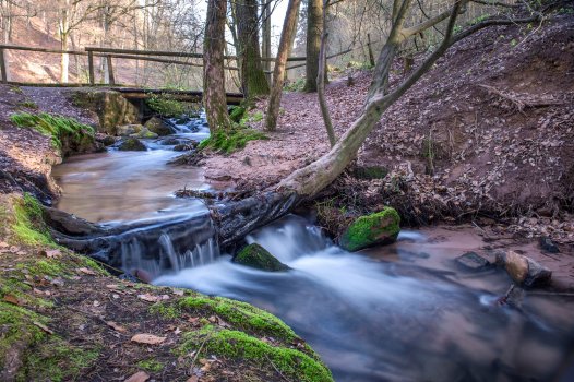 Fluss in Waldlandschaft