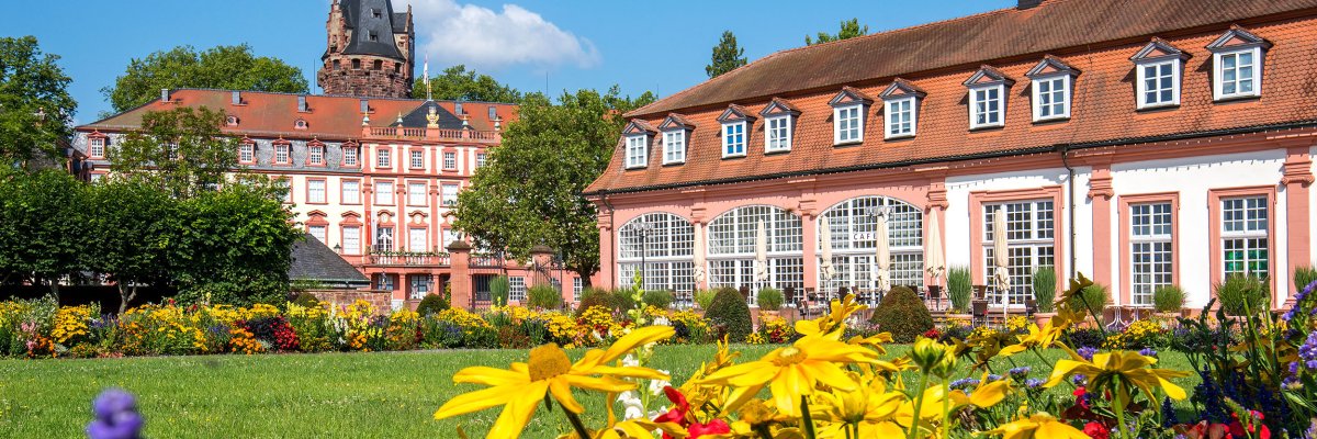 Schloss Erbach aus der Luft