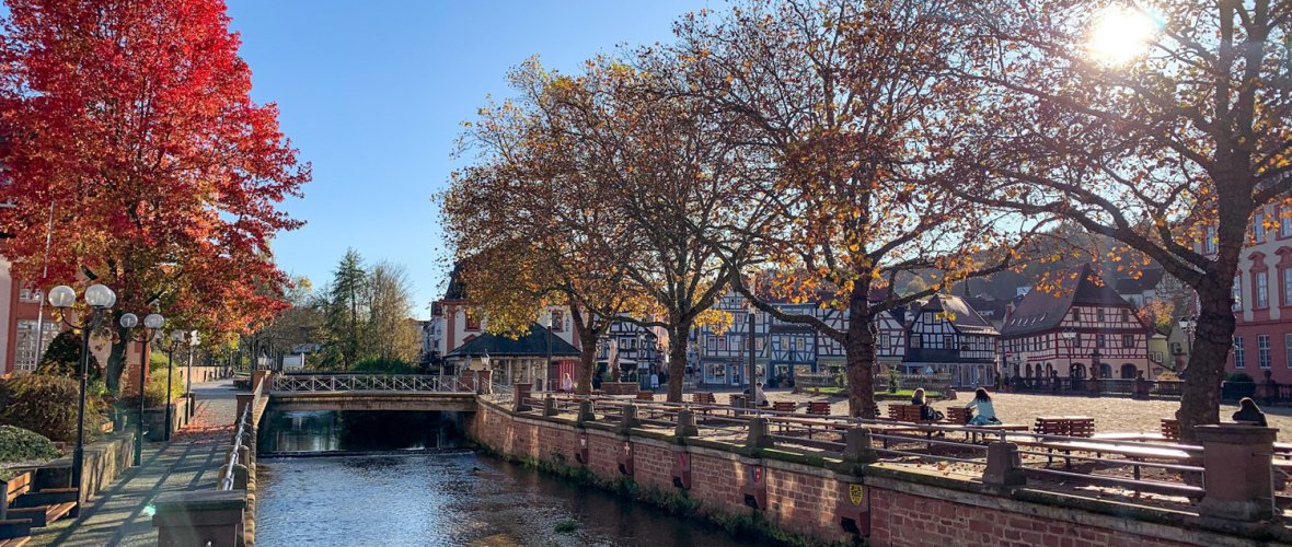 Herbstbäume am Ufer eines Flüsschens