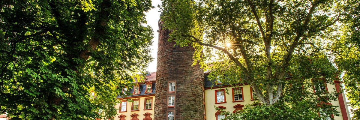 Großer Turm des Erbacher Schlosses
