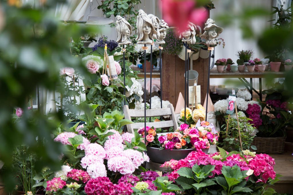 Blumen und Gartendeko