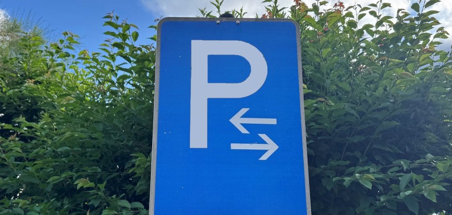 Blaues Parkplatzschild vor Baum