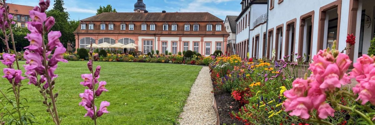 Schloss Erbach aus der Luft