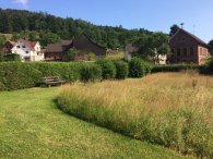 Häuser mit Wiese davor