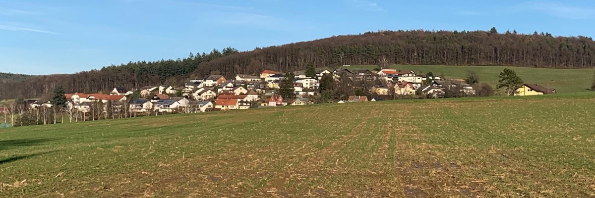Schloss Erbach aus der Luft