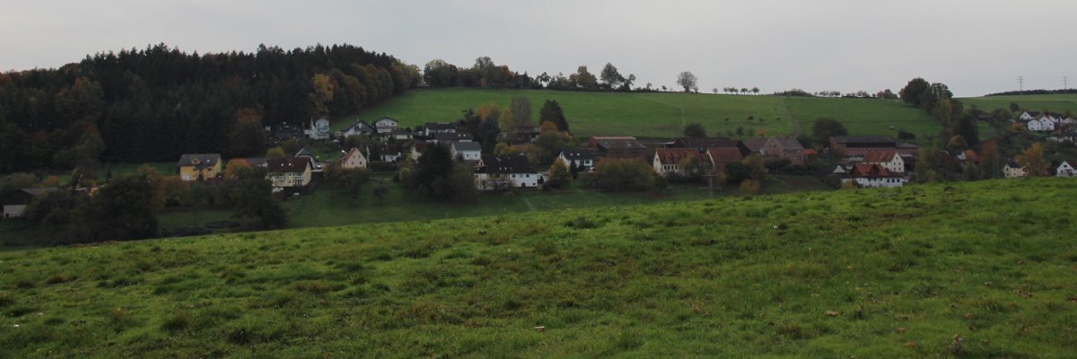 Schloss Erbach aus der Luft