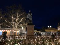 Erbacher Neujahrsbegrüßung - Beleuchtung Marktplatz Graf Franz Statue mit Beleuchtung in Bäumen