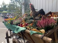 Erntewagen auf Odenwälder Bauernmarkt Planwagen gefüllt mit Blumen, Äpfeln und Hahn