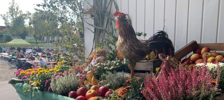 Planwagen gefüllt mit Blumen, Äpfeln und Hahn