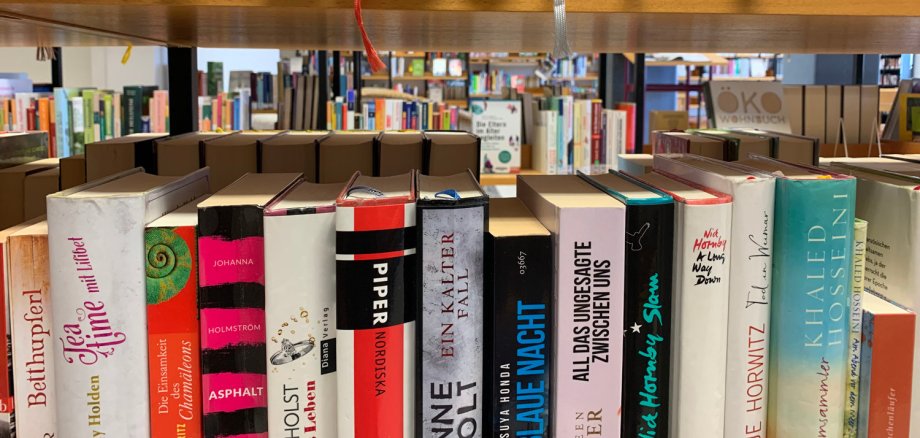 Verschiedene Buchrücken in Großansicht