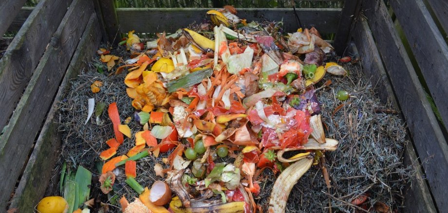 Komposthaufen mit verrotetem Obst
