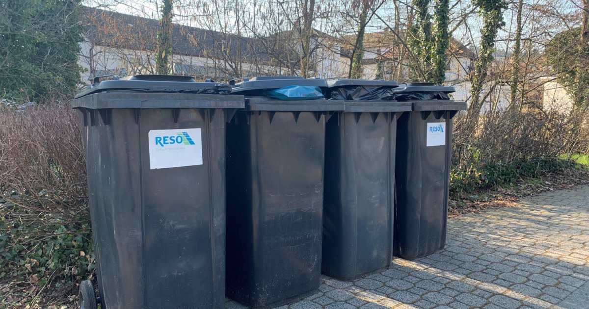 Abfallkalender 2024 Startseite