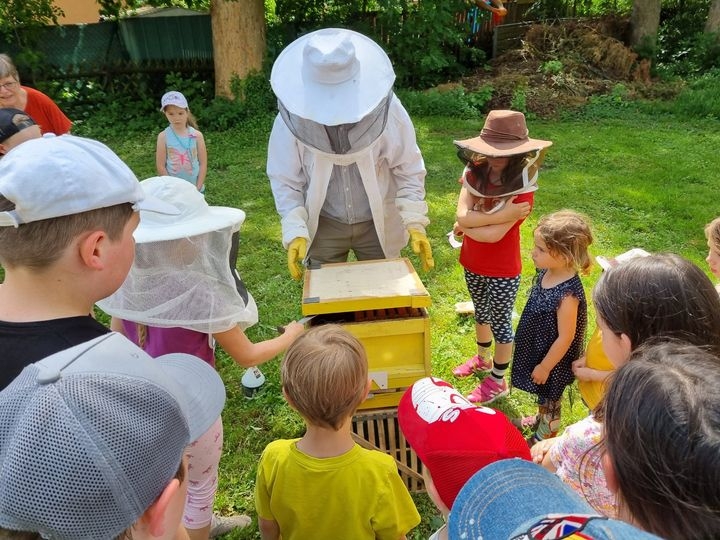 Imker zeigt Kindern Bienenwaben