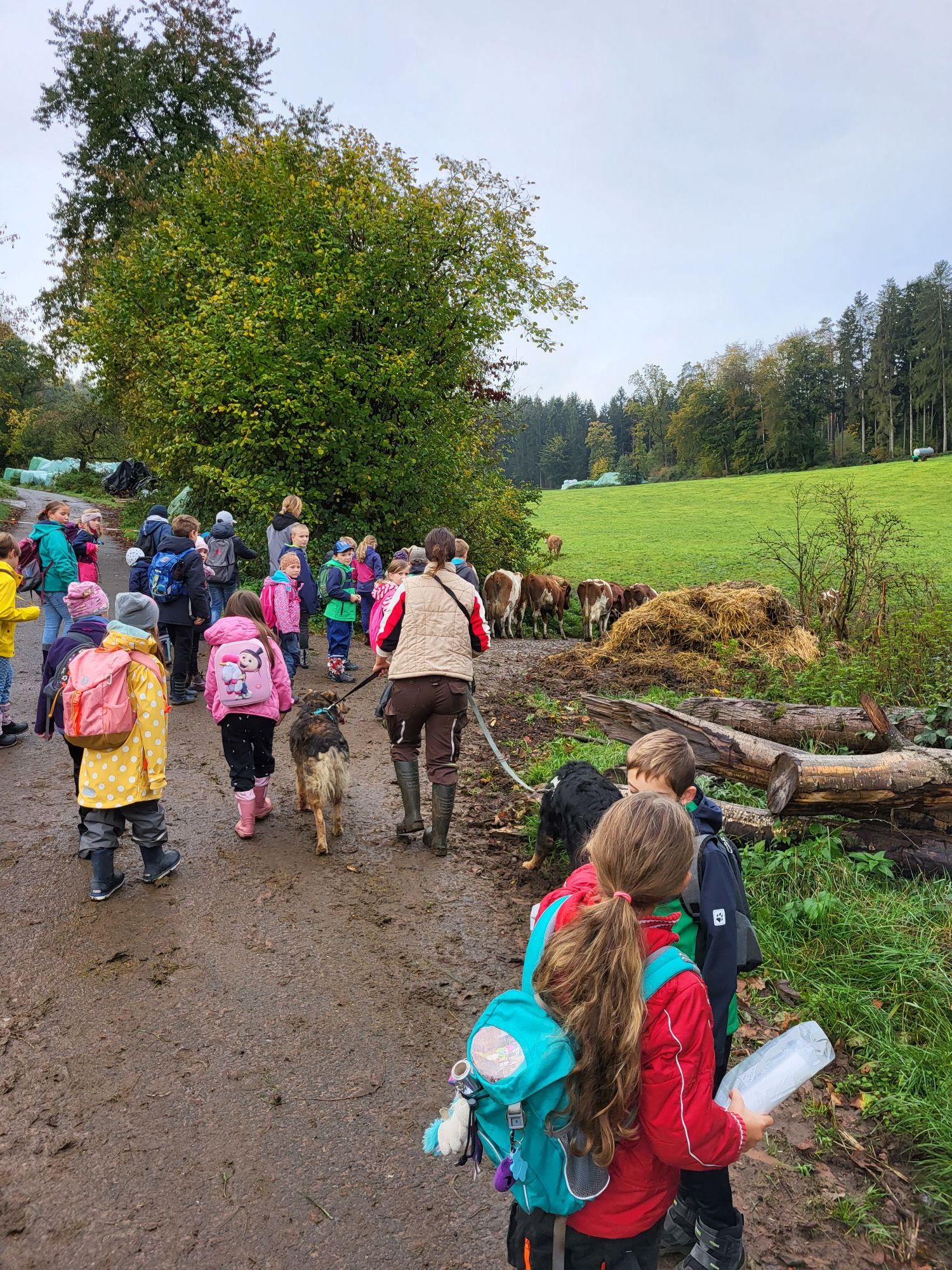 Kinder mit Rücksäcken und Regenkleidung auf Feldweg