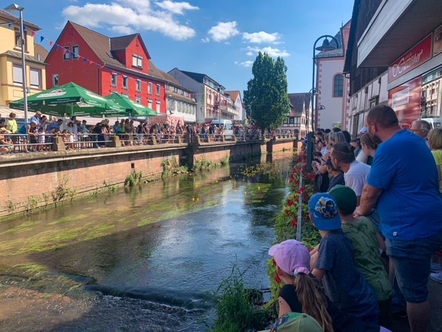 Enten schwimmen auf Fluss, am Rand stehen viele Zuschauer