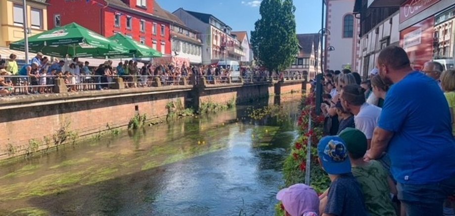 Enten schwimmen auf Fluss, am Rand stehen viele Zuschauer