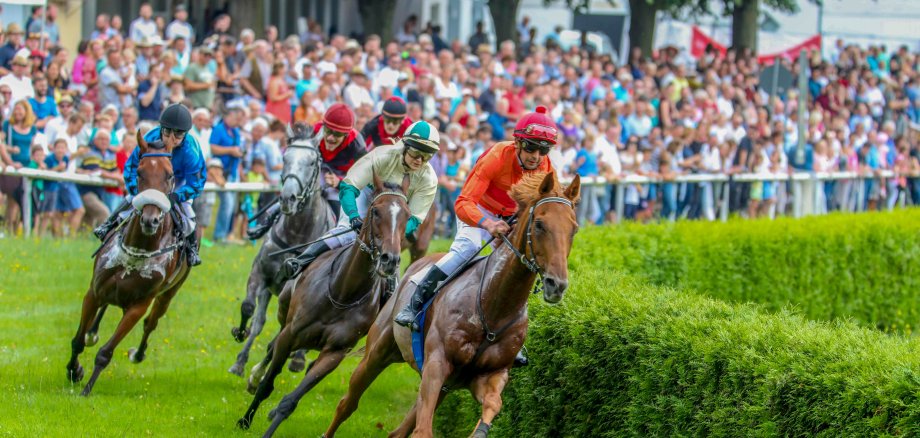 wiesenmarkt2019-renntag