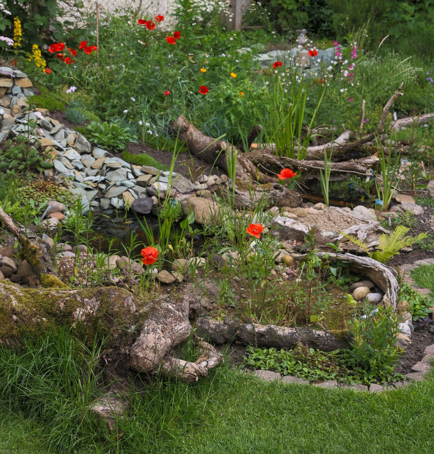 Garten mit verschiedenen blühenden Pflanzen