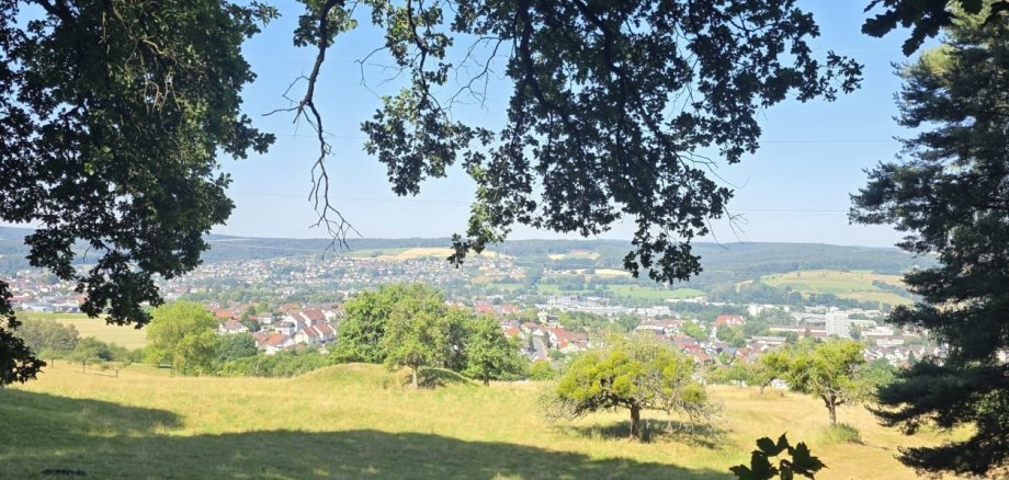 Blick auf eine Ortschaft von einem Hügel aus.