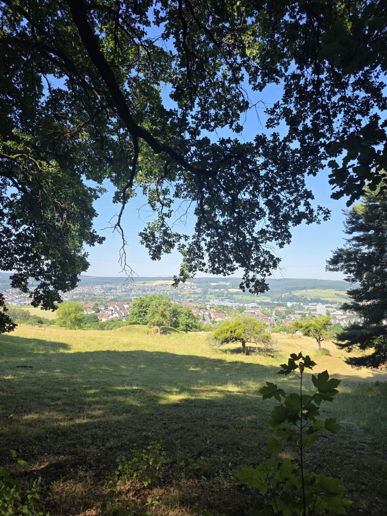 Blick auf eine Ortschaft von einem Hügel aus.