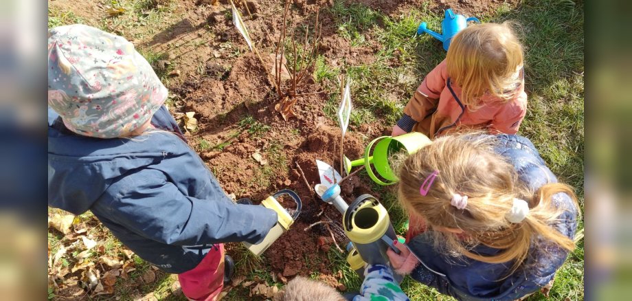 Kinder gießen Beerensträucher