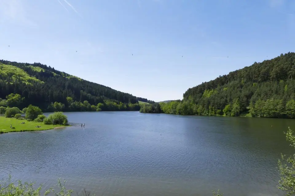 Blick auf See. Rechts und links davon Wälder.
