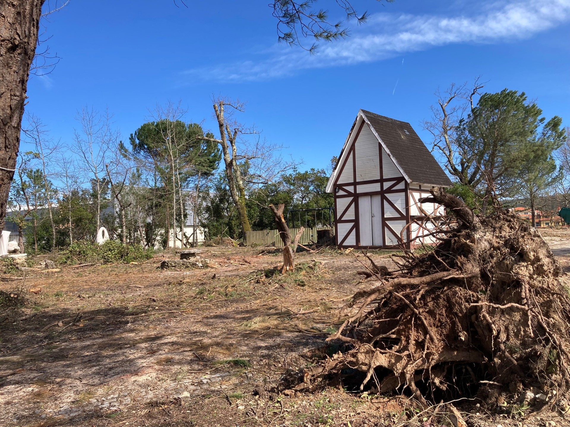 Kleines Fachwerkhäuschen in Stadtwald, der durch Sturm stark zerstört wurde