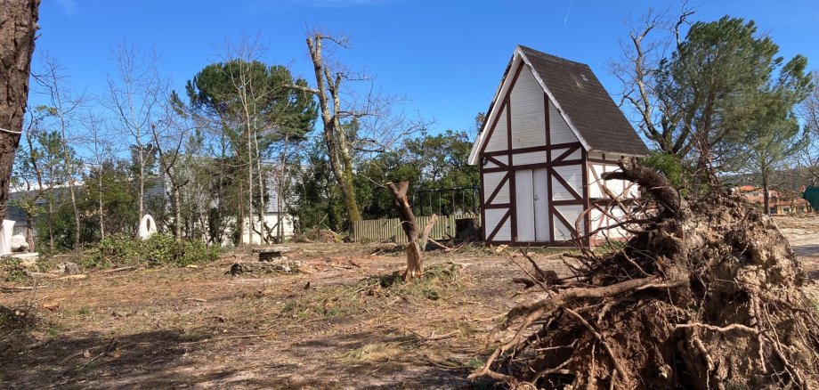 Kleines Fachwerkhäuschen in Stadtwald, der durch Sturm stark zerstört wurde