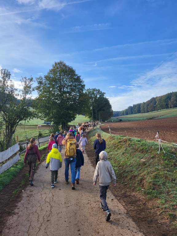 Eine Kindergruppe mit Rucksäcken auf dem Rücken ist von hinten zu sehen. Sie laufen einen Weg in der Natur entlang.