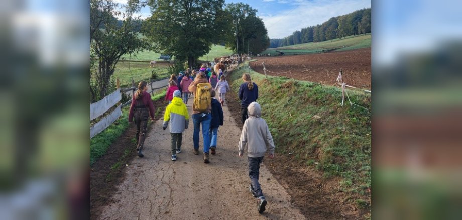 Ausflug in die Natur Eine Kindergruppe mit Rucksäcken auf dem Rücken ist von hinten zu sehen. Sie laufen einen Weg in der Natur entlang.