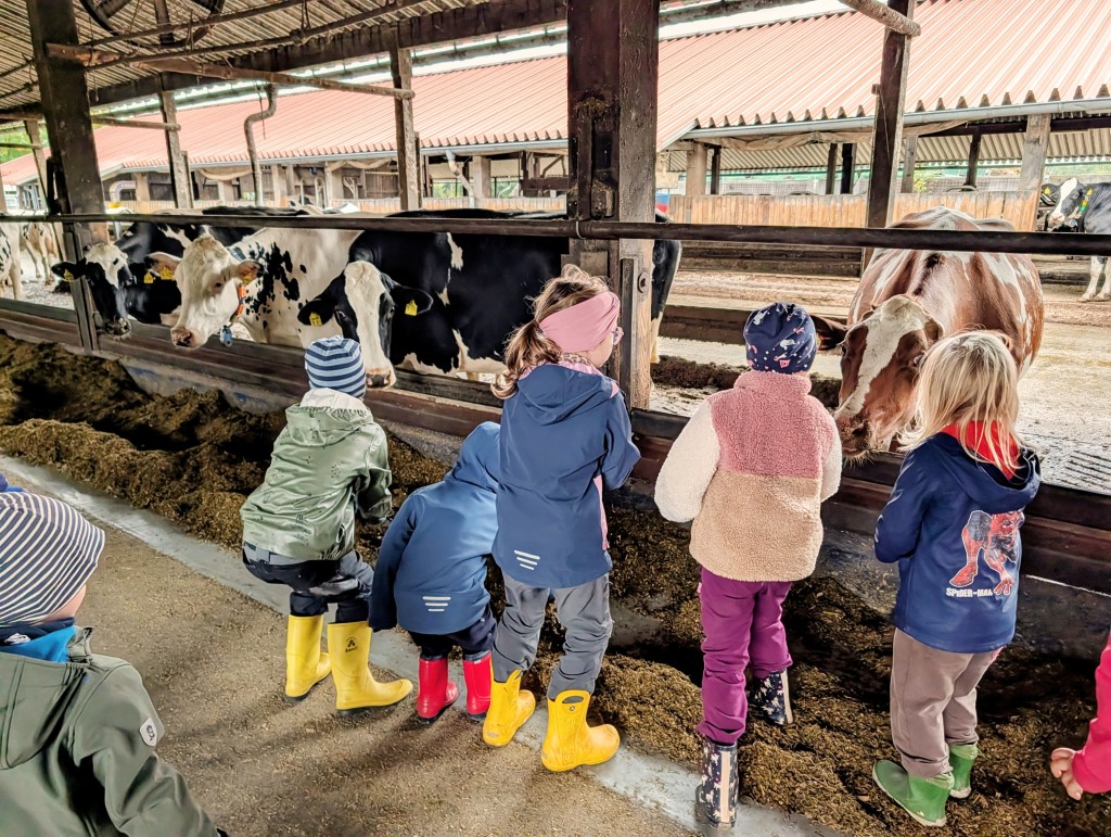 Kindergartenkinder stehen vor einem Kuhstall und beobachten die Kühe