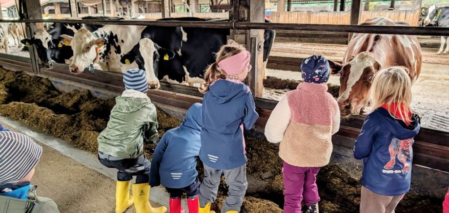 Kindergartenkinder stehen vor einem Kuhstall und beobachten die Kühe