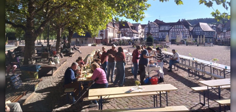 Interkulturelles Picknick bei bestem Wetter auf dem Erbacher Marktplatz Biertischgarnituren mit vielfältigem Essen auf einem Marktplatz im Sonnenschein