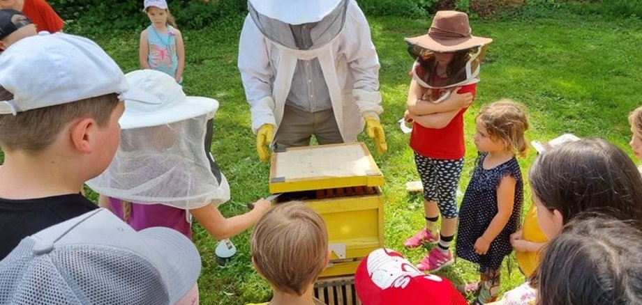 Imker zeigt Kindern Bienenwaben