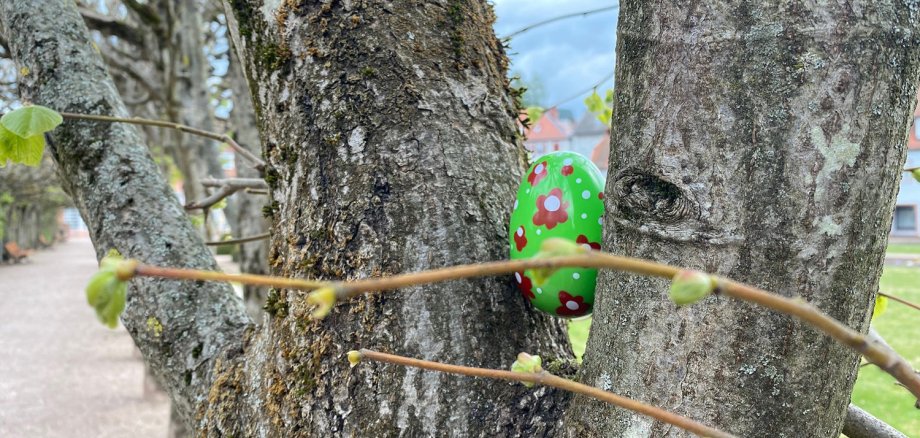 Grünes Osterei versteckt zwischen Ästen