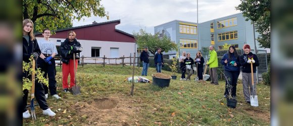 Schülerinnen und Schüler mit Spaten und Pflanzen in einem Garten