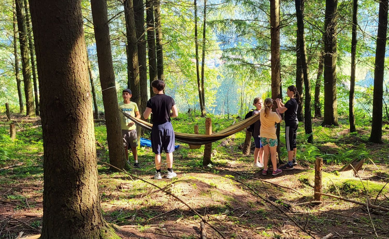 Kinder spannen Hängematten im Wald auf