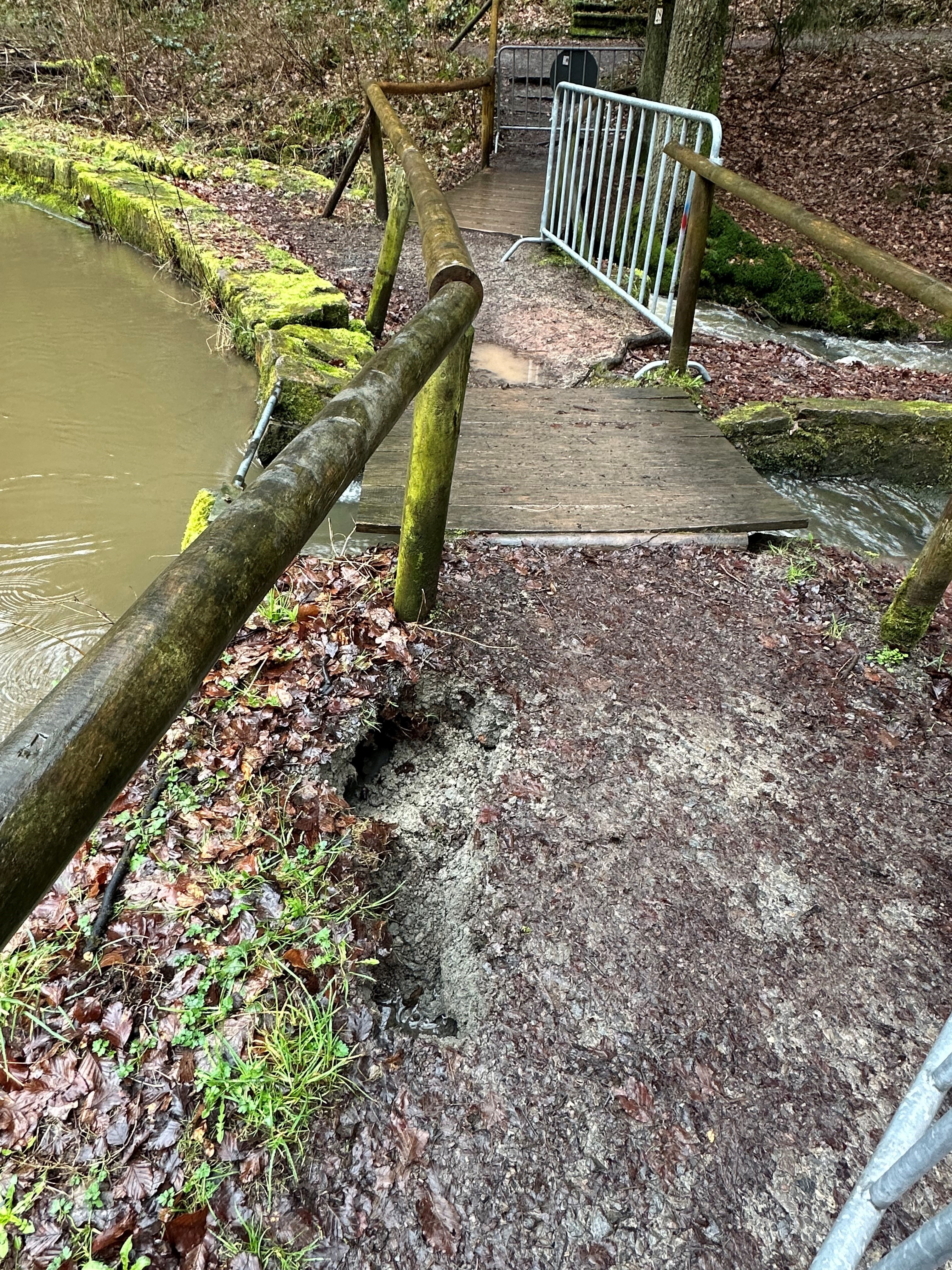 Dreiseetal Biber Schaden 