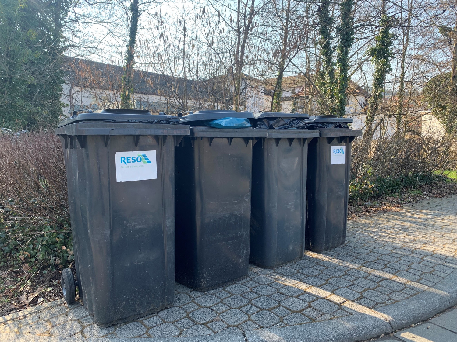 Mülltonnen Mülltonnen