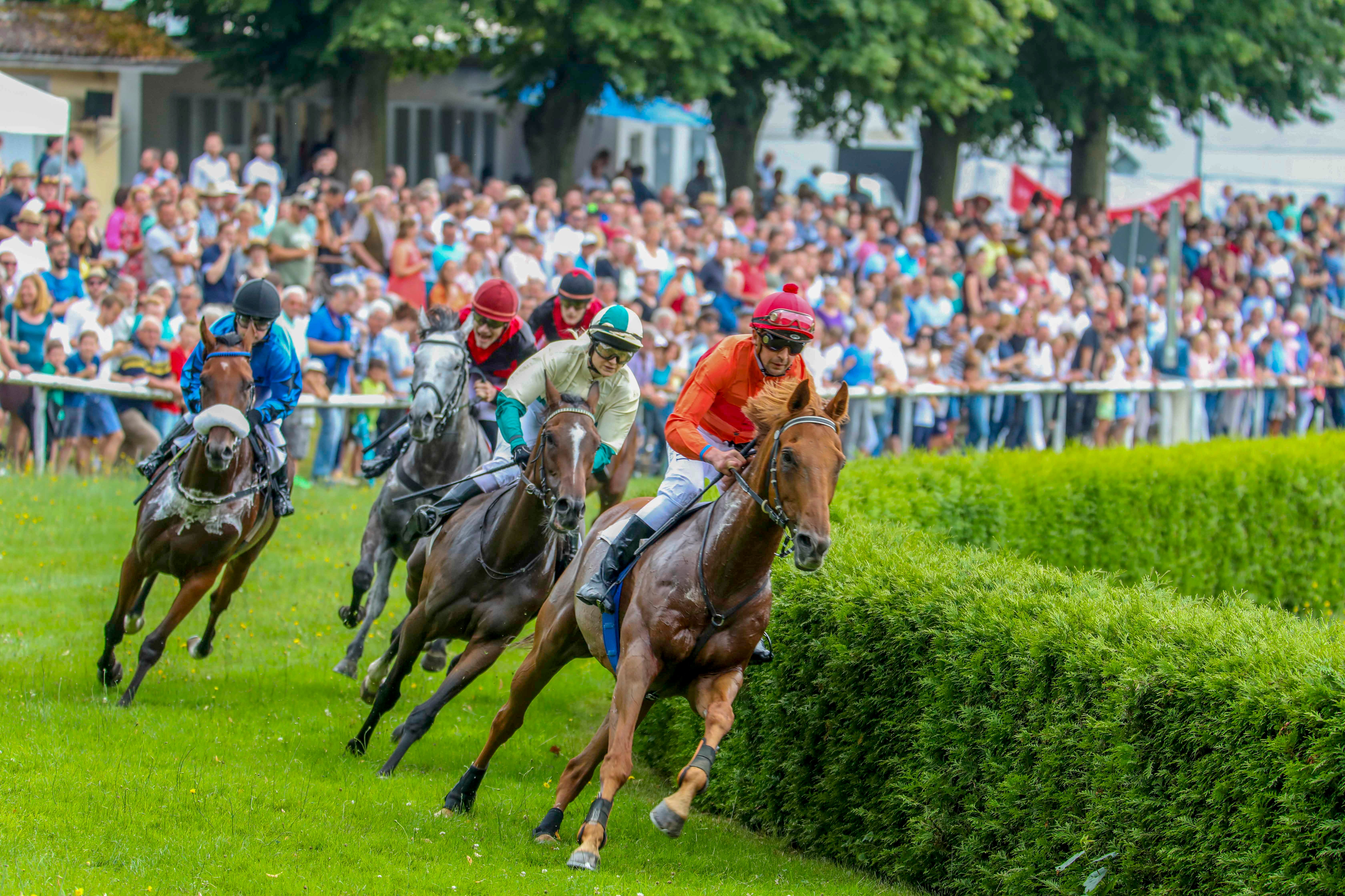 wiesenmarkt2019-renntag