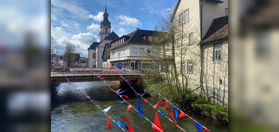 Blick auf Mümling mit Kirche im Hintergrund