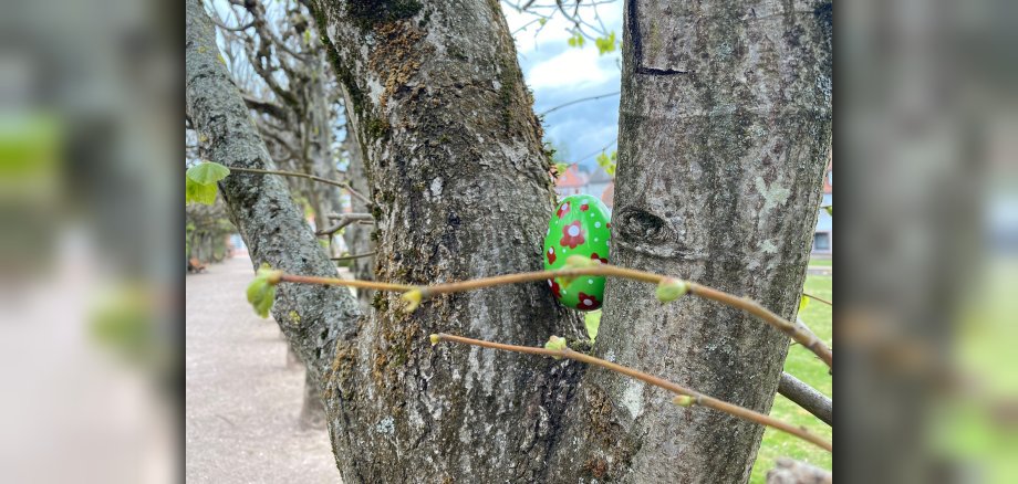 Osterei zwischen Baumstämmen versteckt