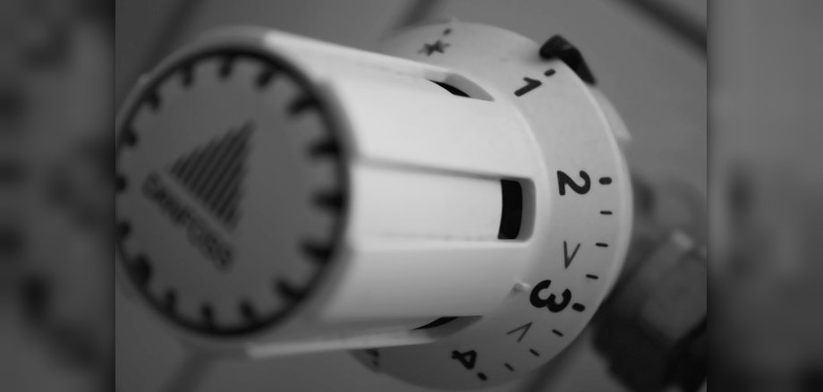 Heizregler Heizregler in Großansicht