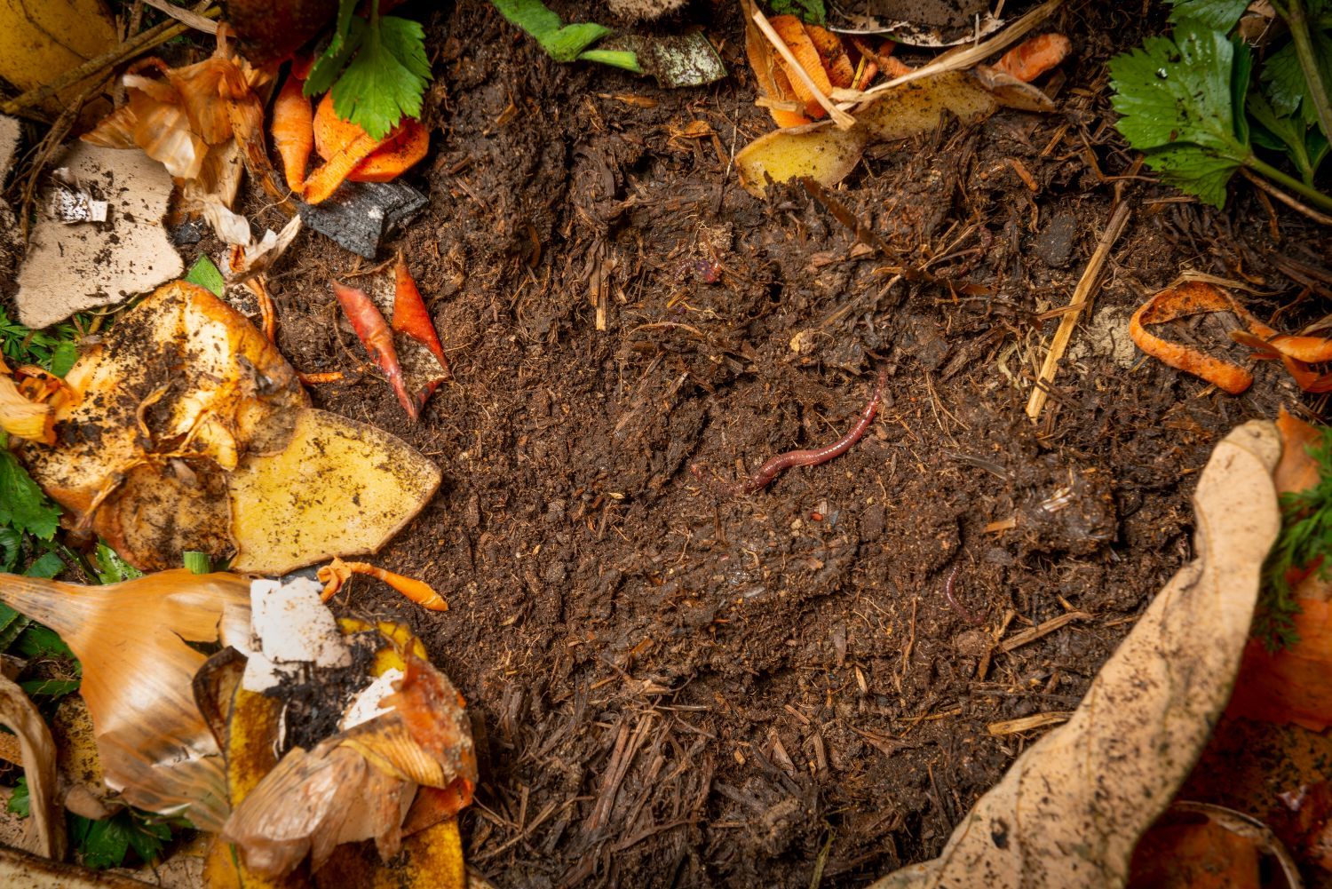 Bioabfälle auf Erde