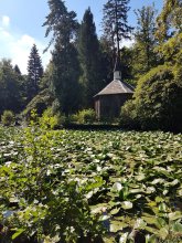 Stadt und Themenführungen Startseite