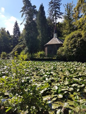 Englischer Garten Eulbach Garten mit Seerosenteich und Pavillon aus Holz